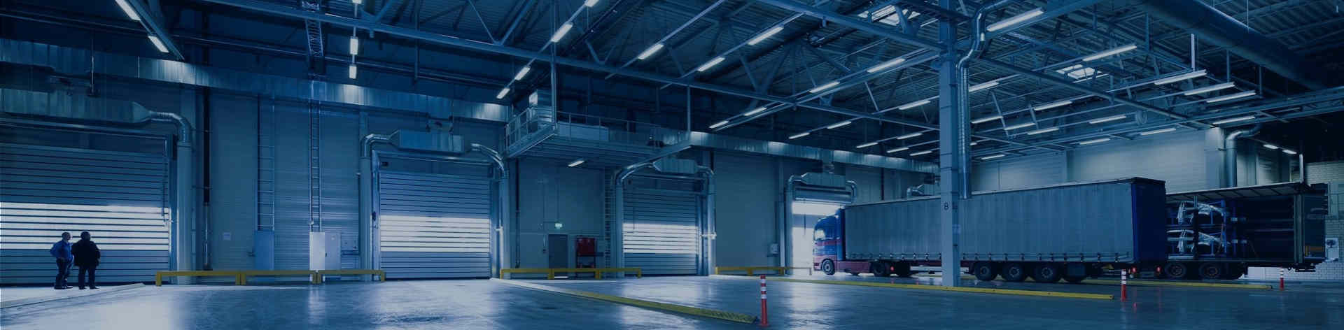 qualità macchina della marcatura del laser della mosca Servizio